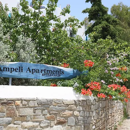 Ampeli *